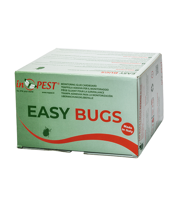 P-04181_EASY-BUGS_IMBALLO_ALTO