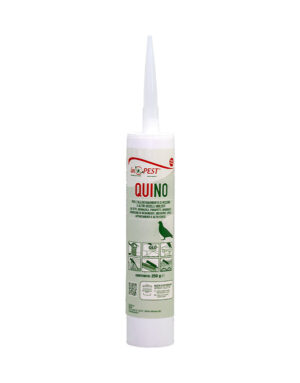 P-14006-QUI-NO