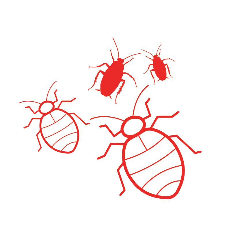Bed Bugs e Easy Bug sono le trappole InPest dedicate a blatte e cimici dei letti, progettate per rilevare l'infestazione.