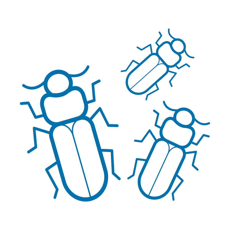 Una famiglia di prodotti InPest interamente dedicata al monitoraggio dei coleotteri delle derrate: trappole Necrobia e 3 Way con feromone