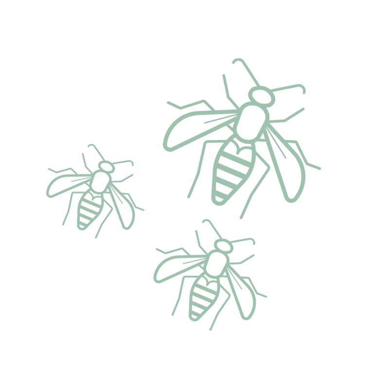 La linea trappole per mosche, vespe, drosofile e zanzare inPEST per gestire il problema delle infestazioni in spazi aperti e chiusi.